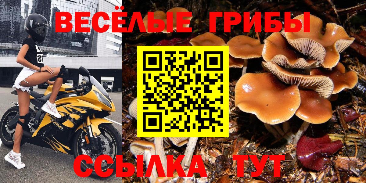 Прохладный  Галлюциногенные грибы ЛСД  наркота  Вход с VPN  Галлюциногенные грибы мицелий 