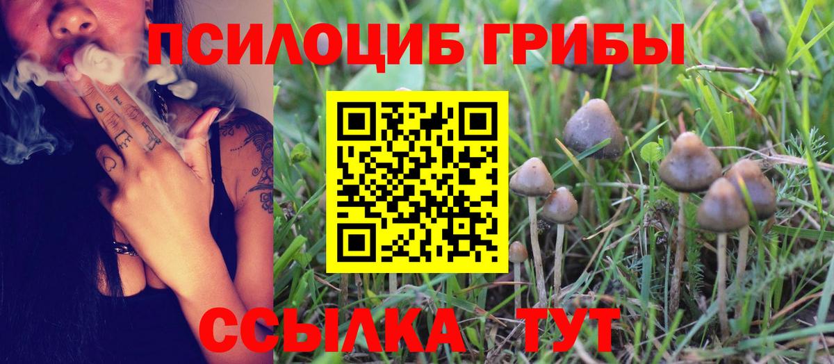 Галлюциногенные грибы Magic Shrooms Прохладный