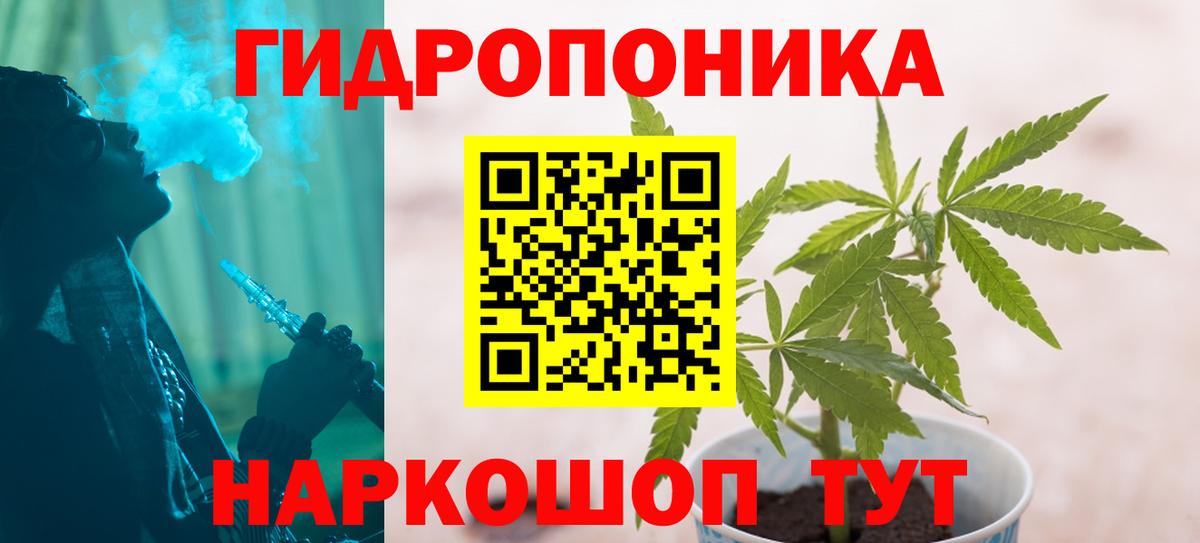 Шишки марихуана Amnesia Прохладный